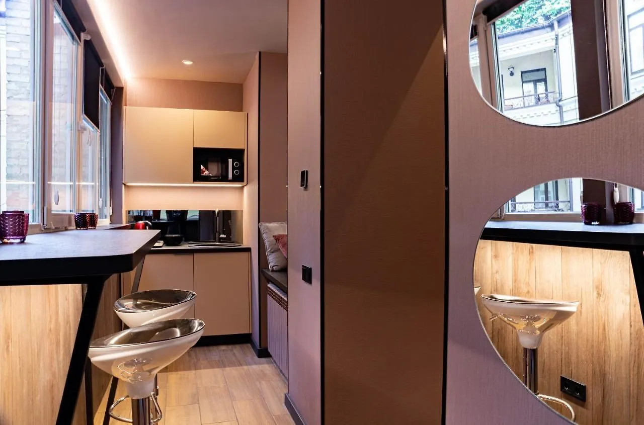 Luxury Upscale Apartments On 18 M Zhitomirska Kyiv